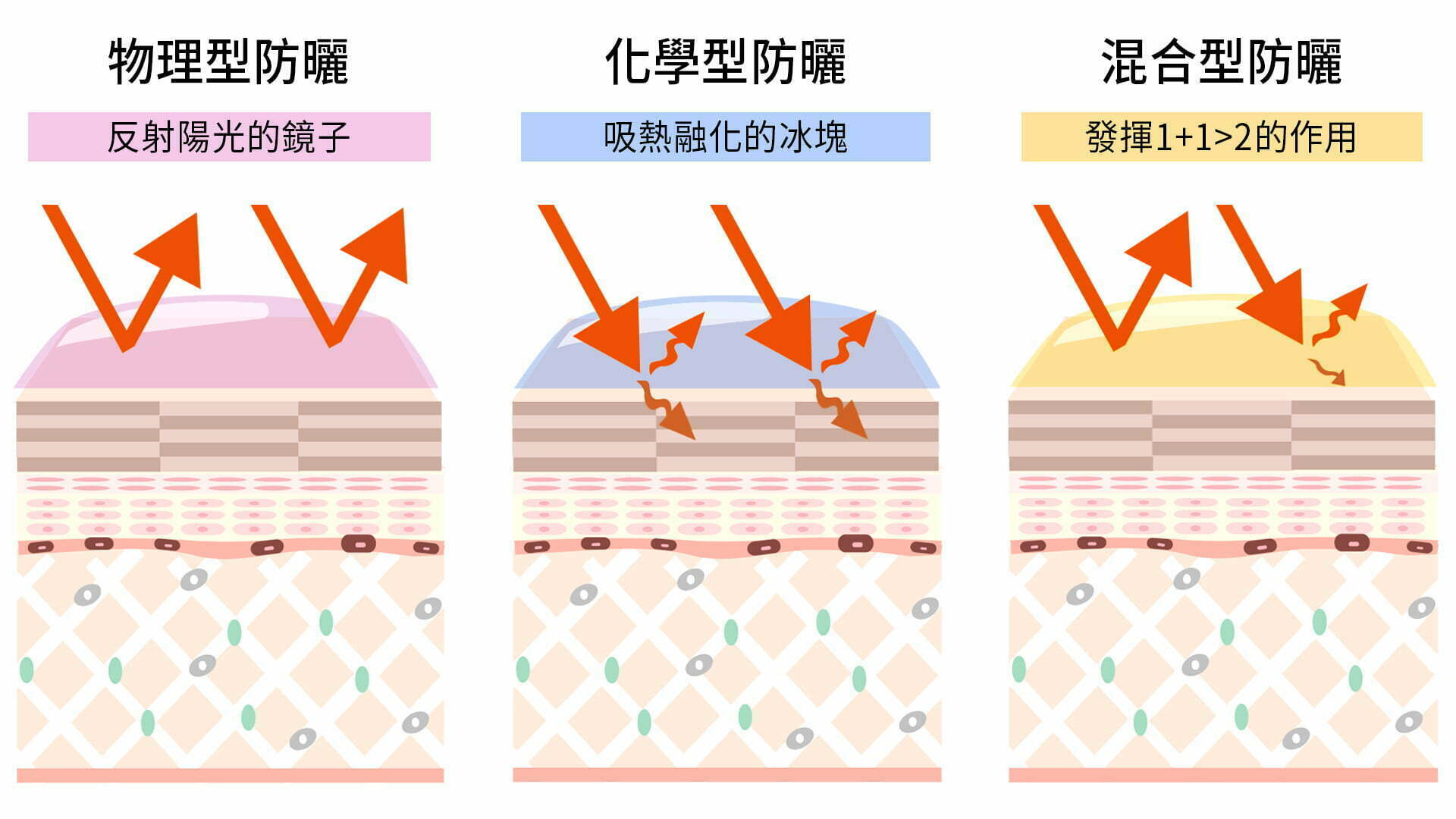官網-部落格-防曬-CN02 部落格 防曬 CN02