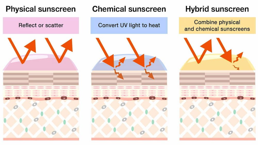 Physical and chemical deals sunscreen