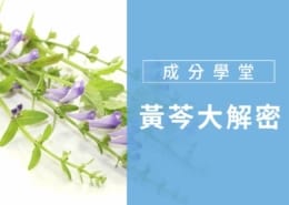 黃芩|多功能的肌膚守護者 1 黃芩