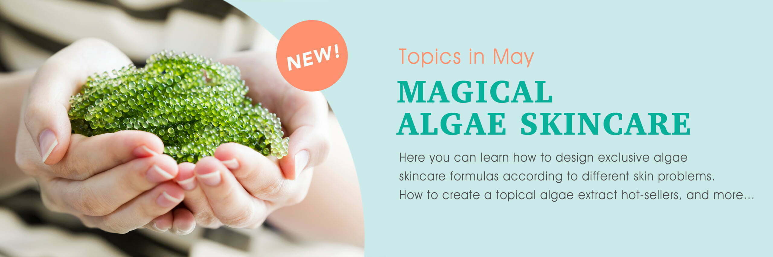 5月精選專題 4198X1399 EN scaled