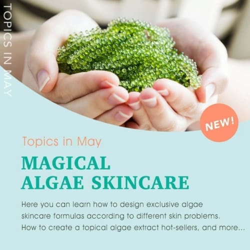 algae
