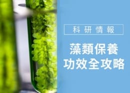 藻類保養功效全攻略:揭秘藻類護膚品如何為肌膚注入活力 4 藻類