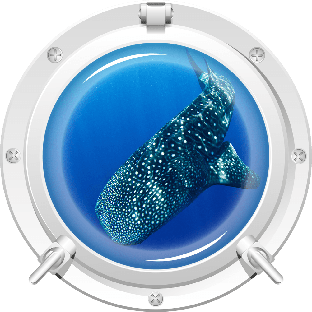 3D Micro-Crystal Essence