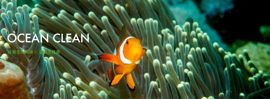 海洋潔淨